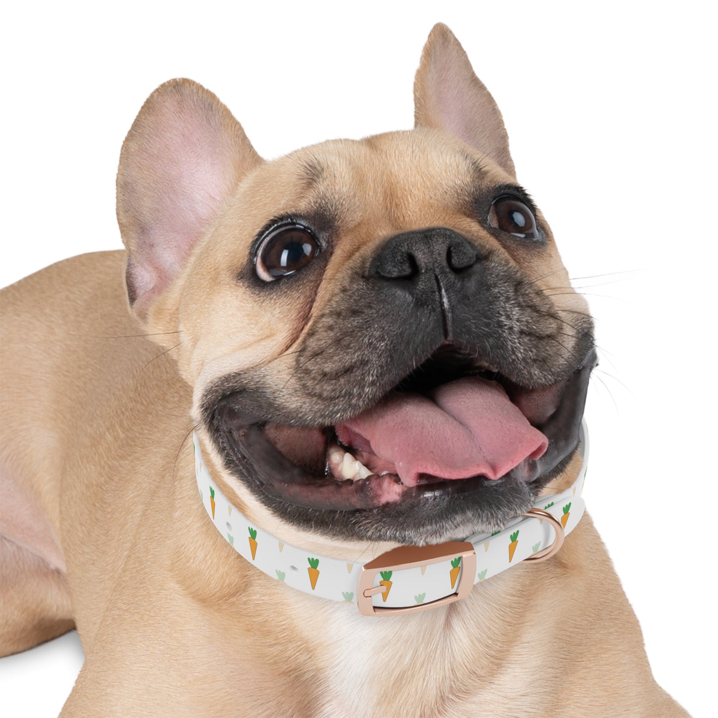 Carrot Dog Collar 🥕