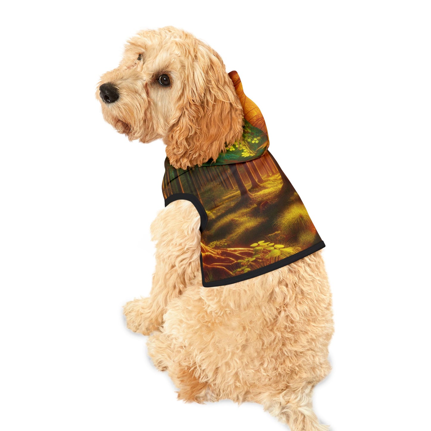Tranquil Forest Pet Hoodie π²