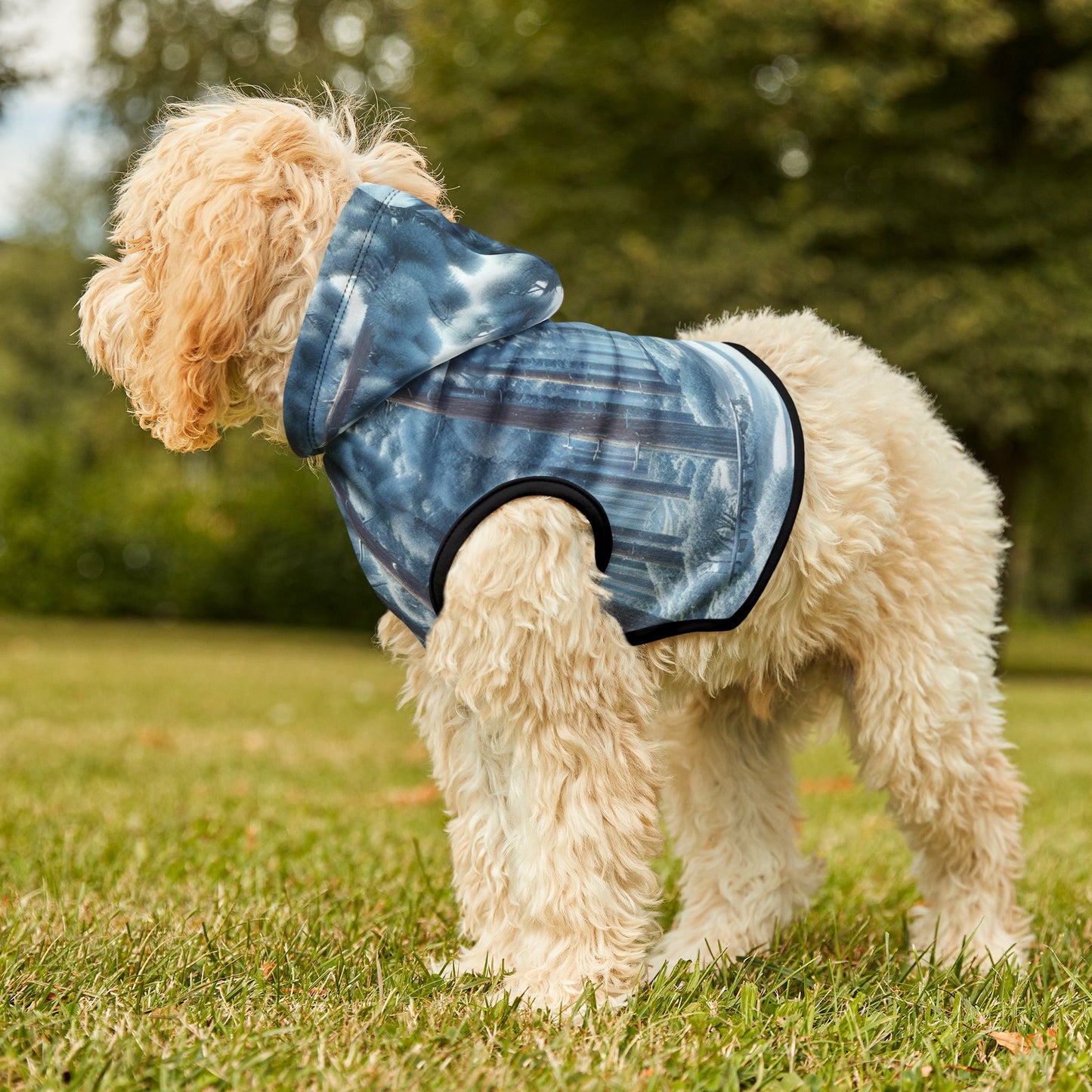 Snowy Forest Pet Hoodie βοΈπ²