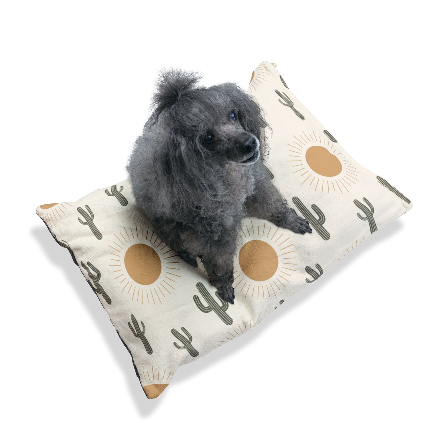 Desert Sunshine Pet Bed 🌵