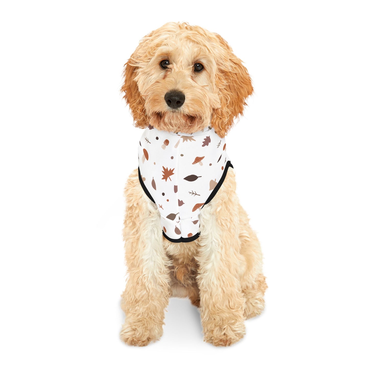 Falling for Fall Pet Hoodie π