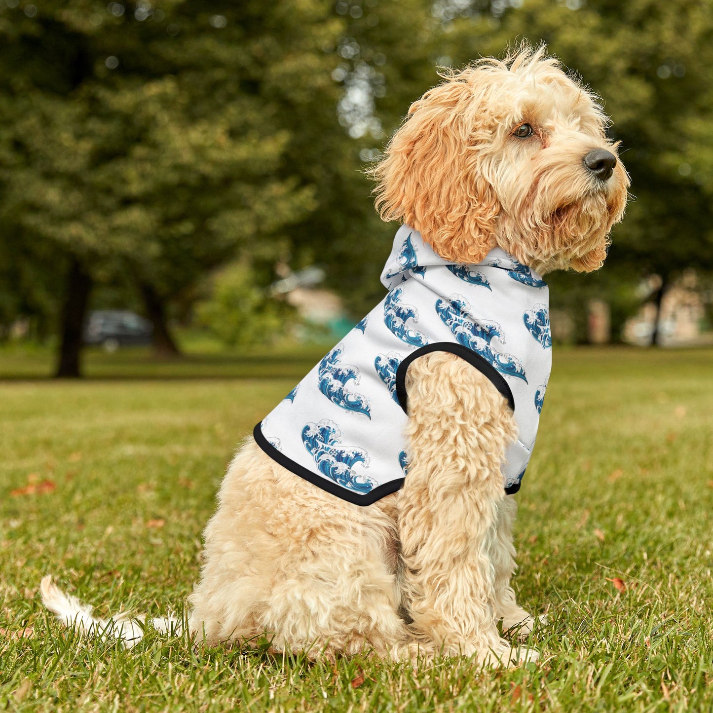 Ocean Wave Pet Hoodie π