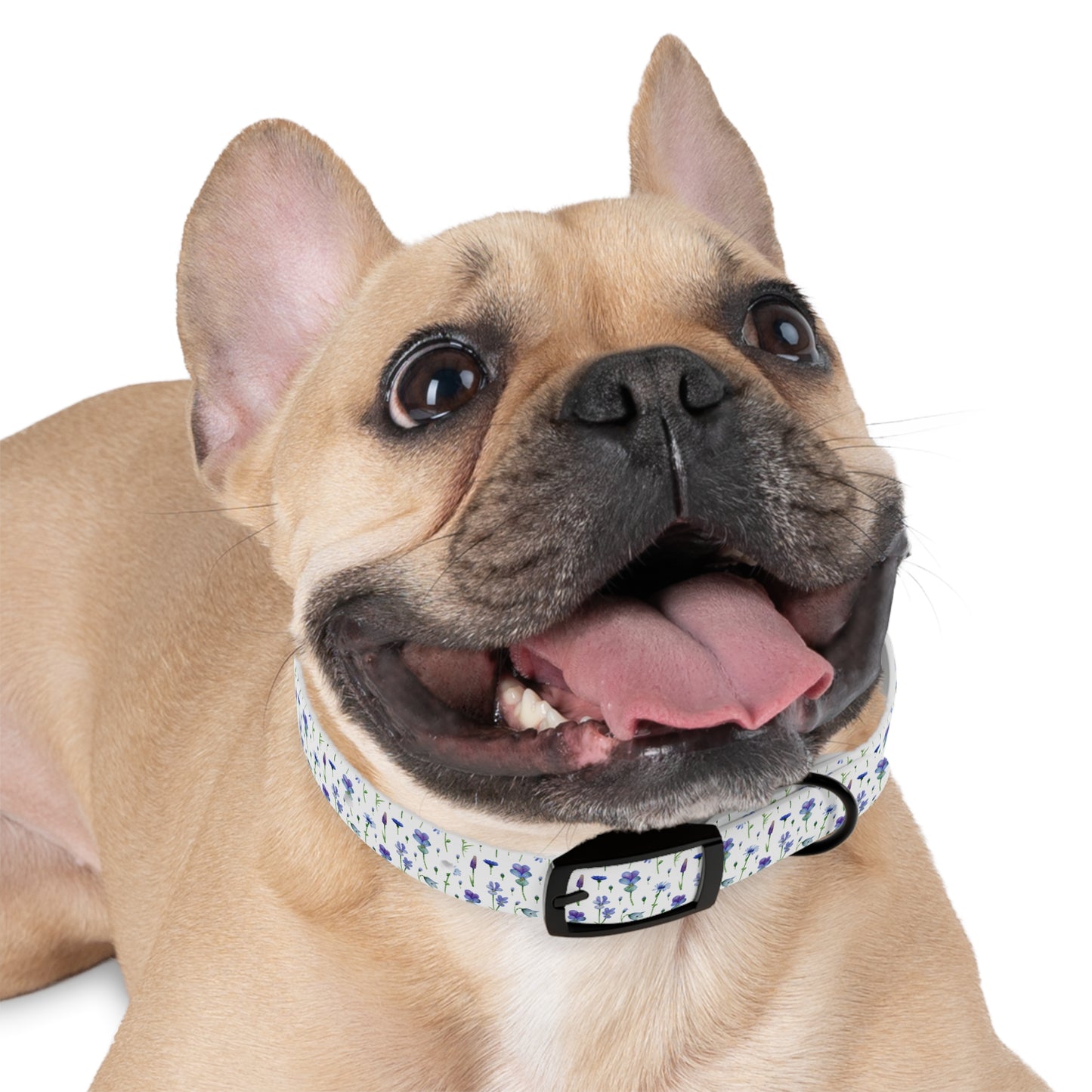Bluebell Bloom Dog Collar π
