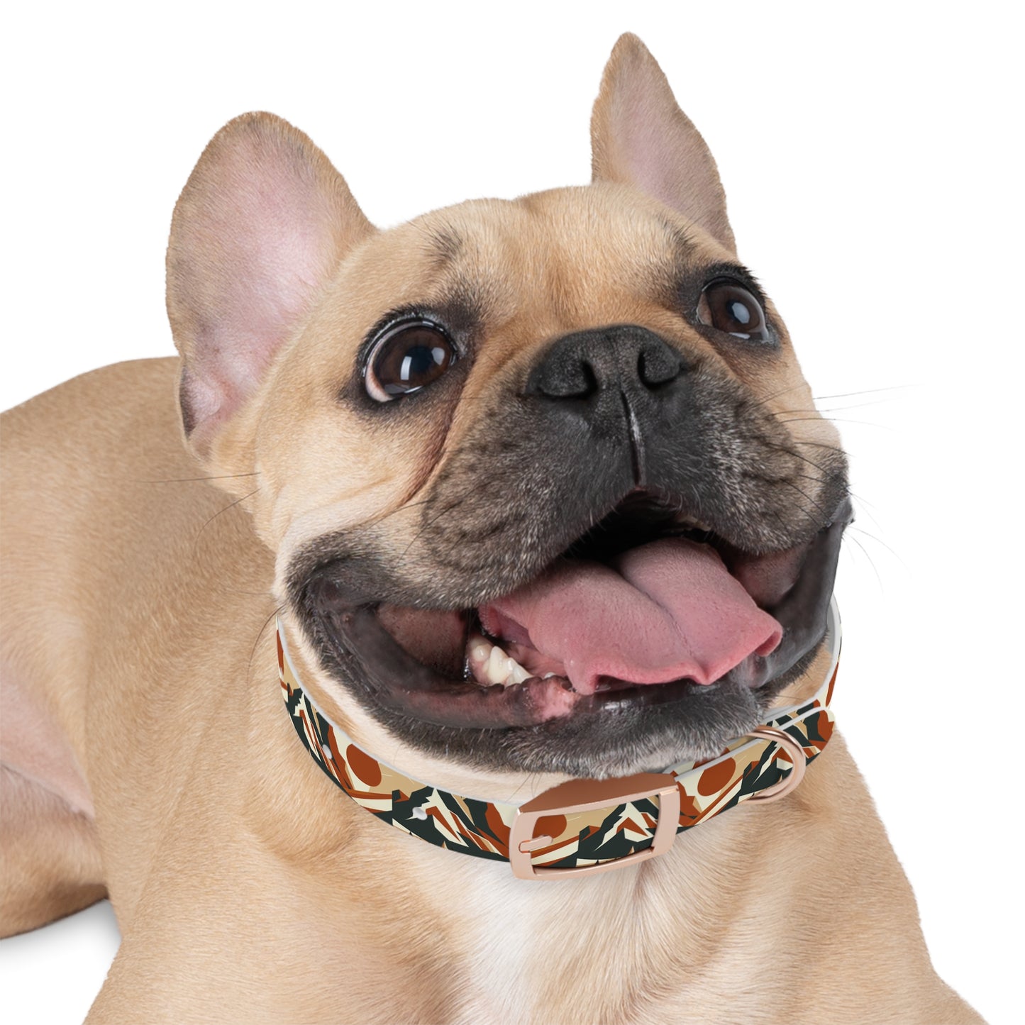 Minimalist Mountain Dog Collar ๐๏ธ