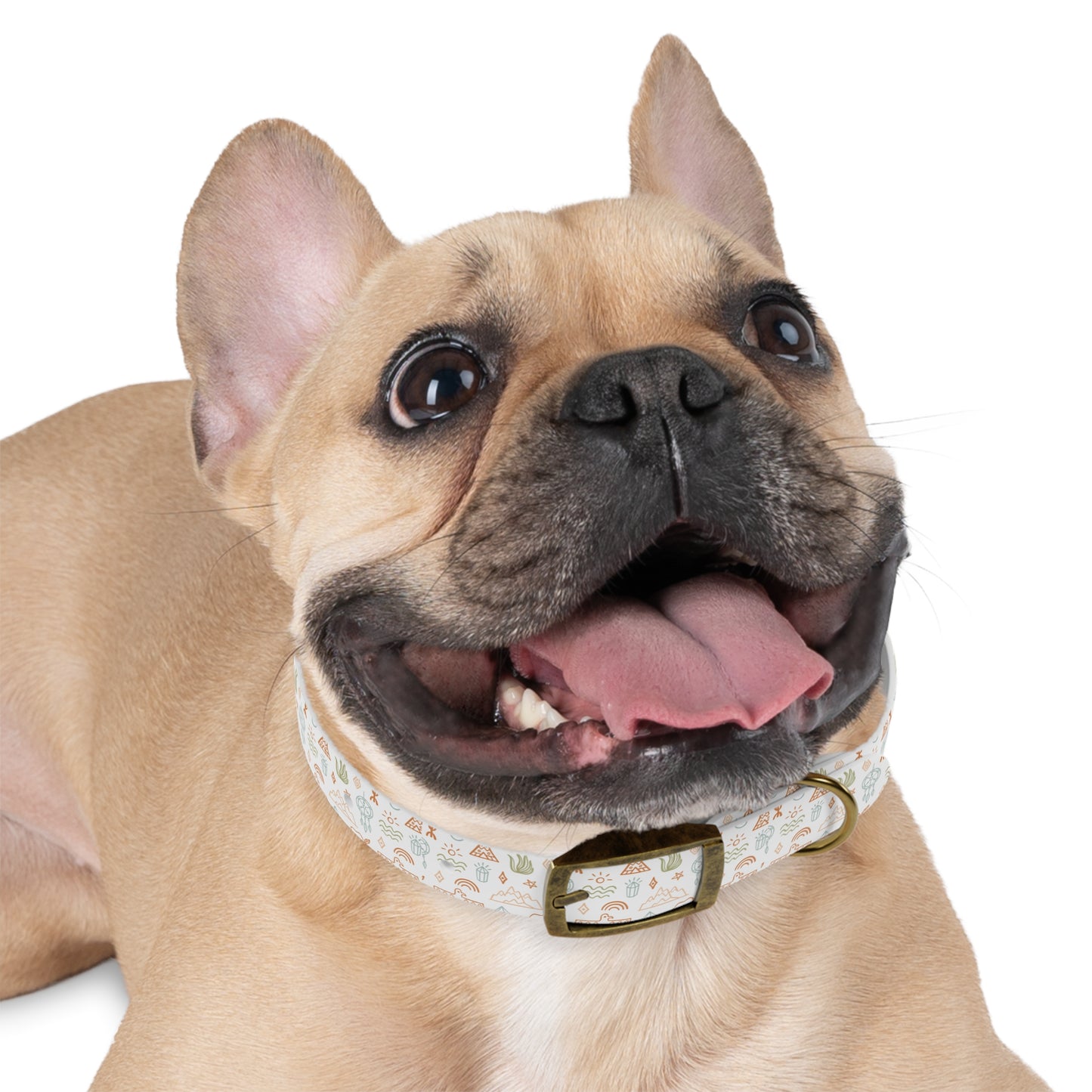 Boho Southwest Vibes Dog Collar 🌵