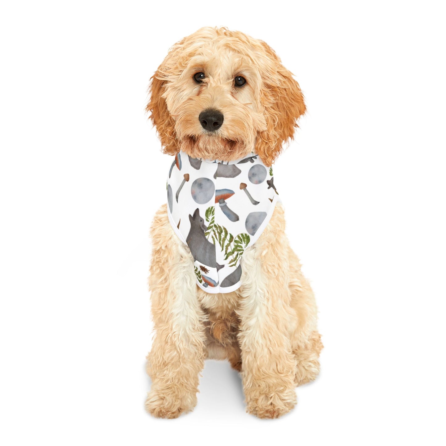 Woodland Pet Hoodie ๐บ
