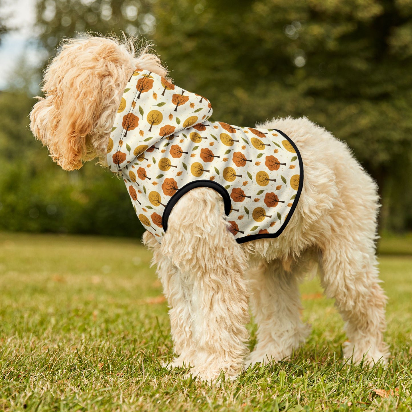 Park Stroll Pet Hoodie π