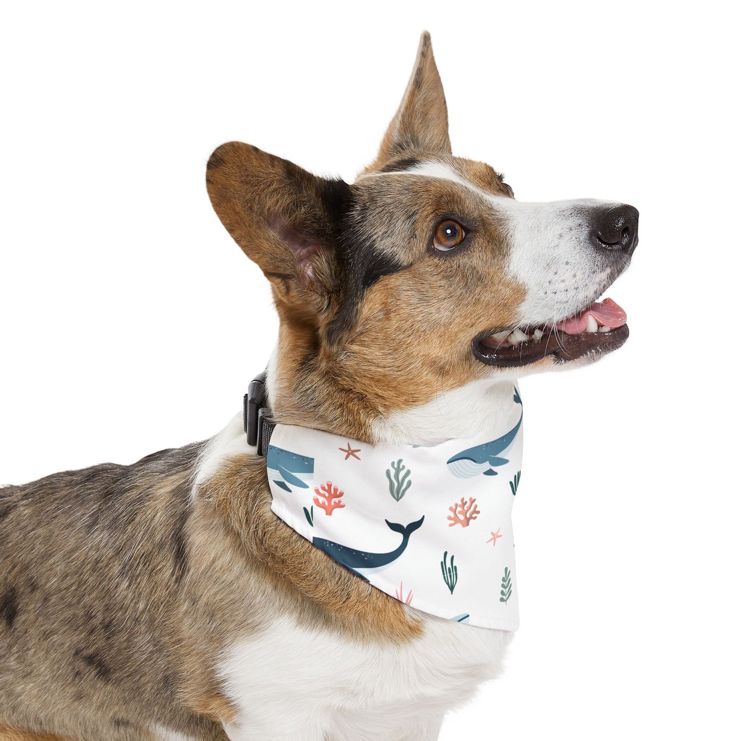 Marine Life Pet Bandana Collar π