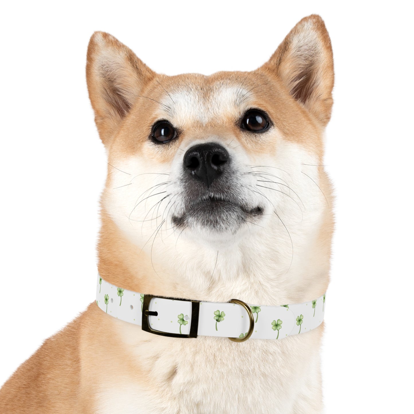 Lucky Clover Dog Collar π