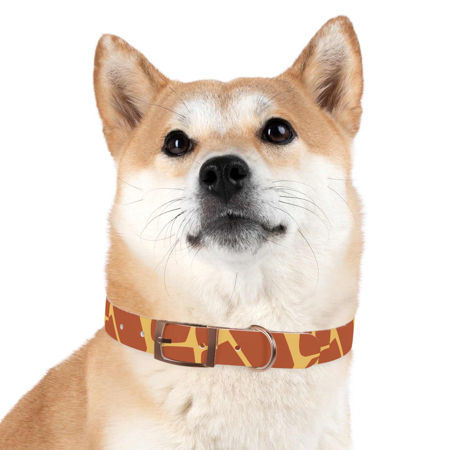 Giraffe Pattern Dog Collar π¦