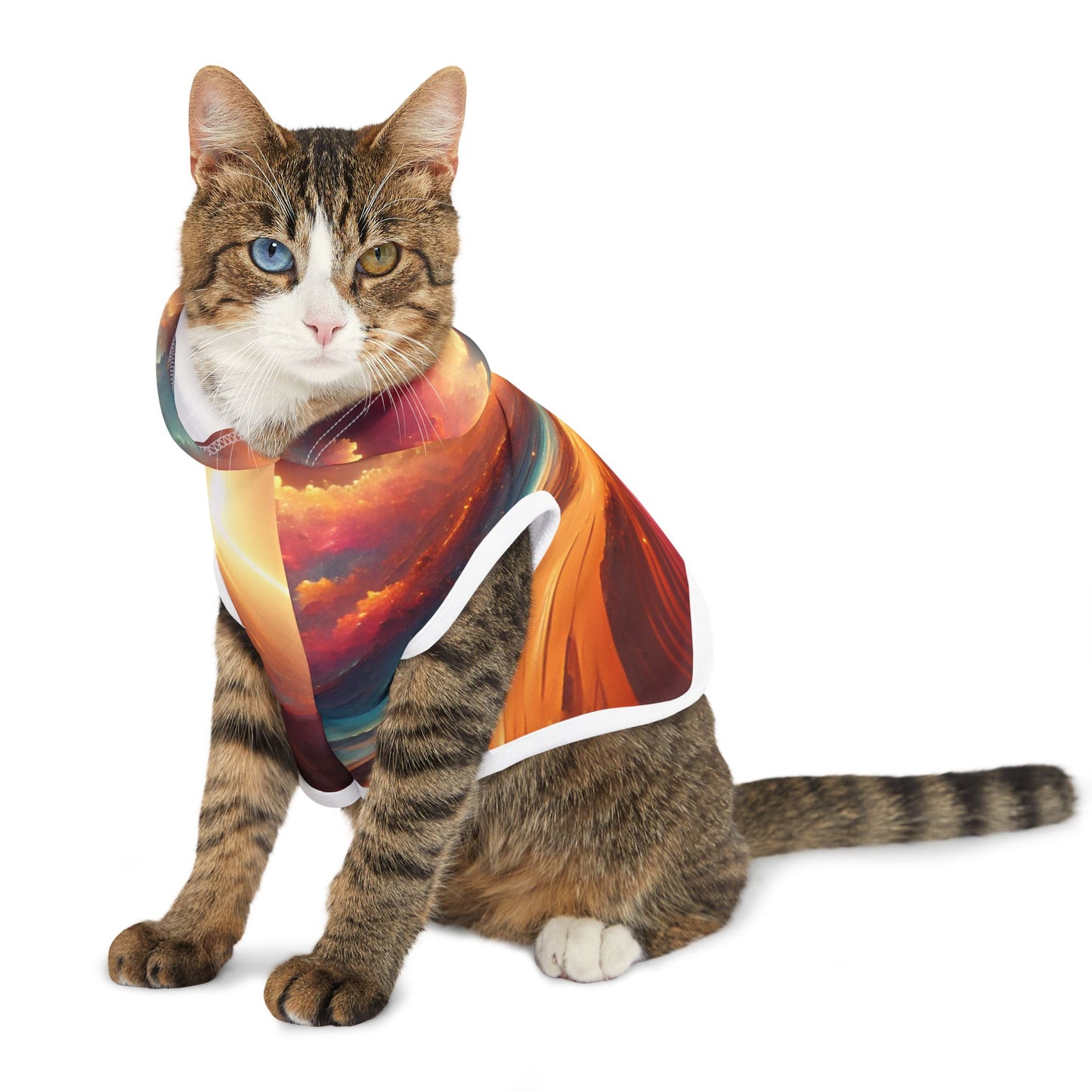 Sunlight Desert Space Pet Hoodie π΅