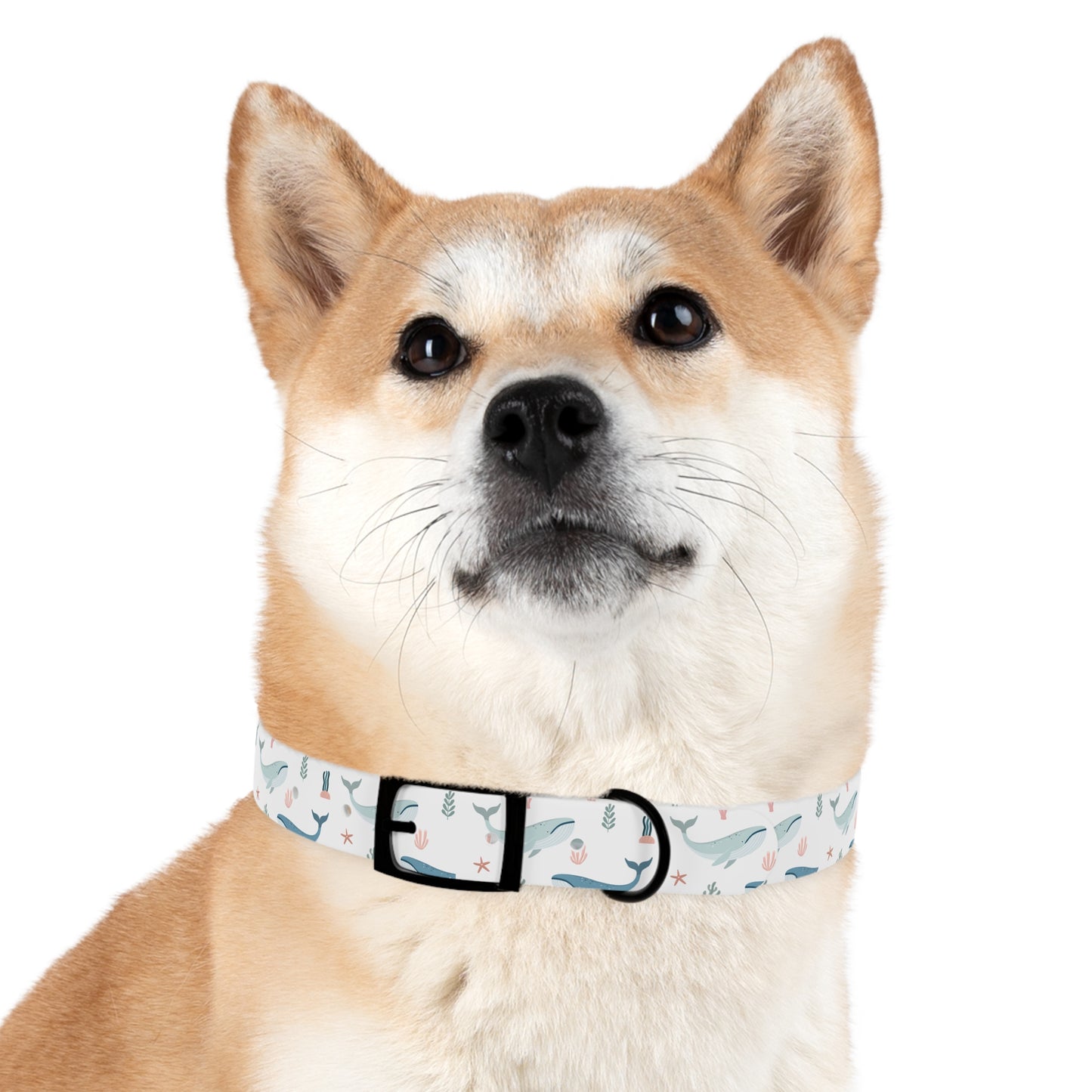 Marine Life Dog Collar 🐳