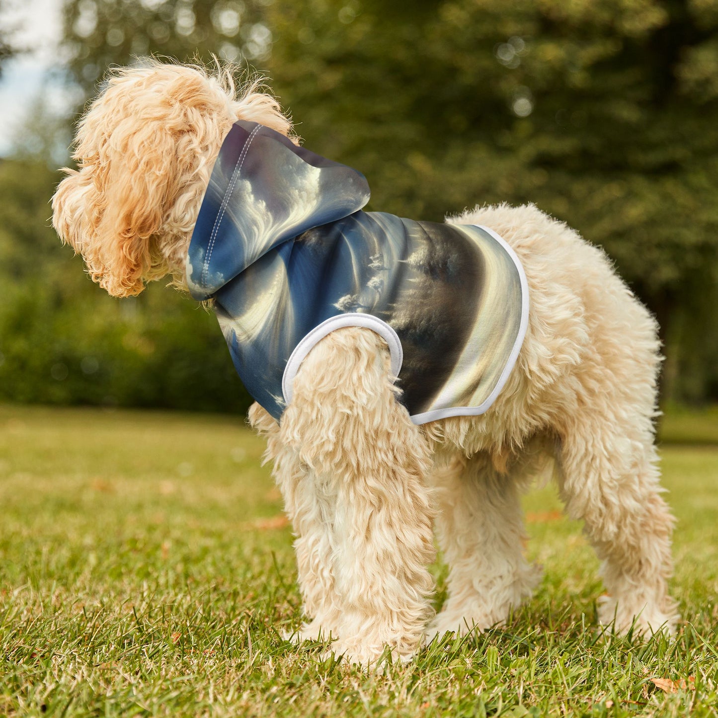 Mysterious Snowy Mountains Pet Hoodie βοΈποΈ