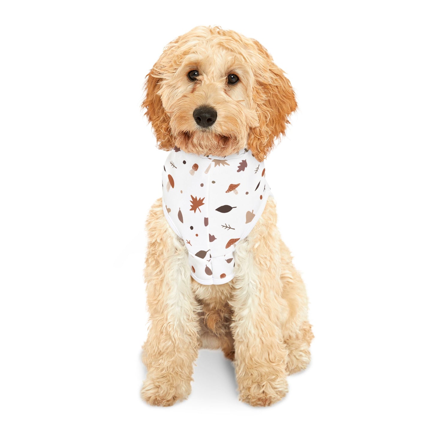 Falling for Fall Pet Hoodie π