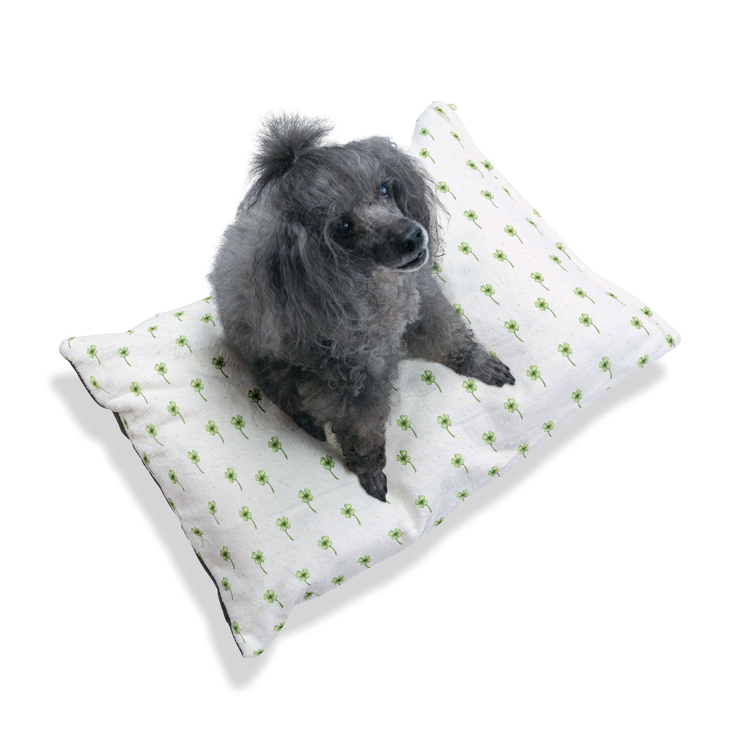 Lucky Clover Pet Bed๐๐พ