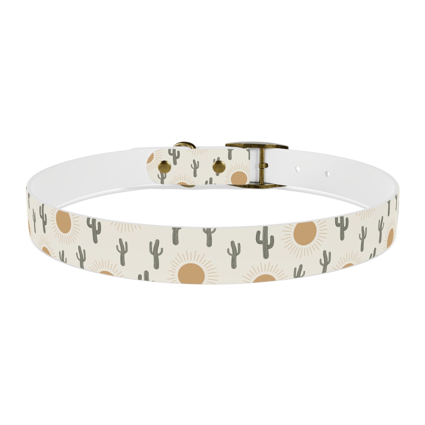 Sunshine Desert Dog Collar π΅
