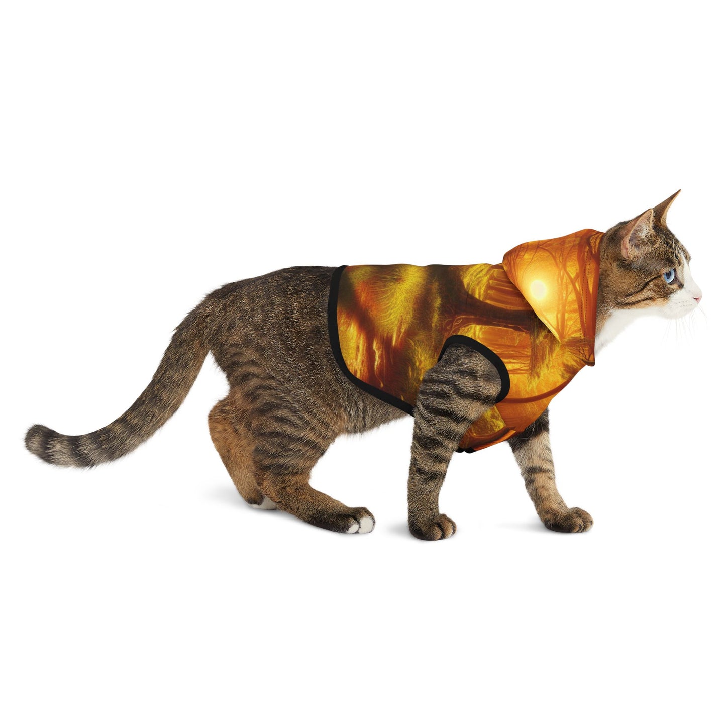 Tranquil Forest Pet Hoodie π²