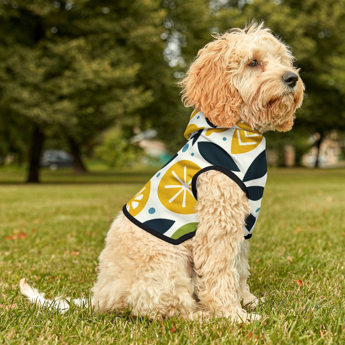 Citrus Pet Hoodie π