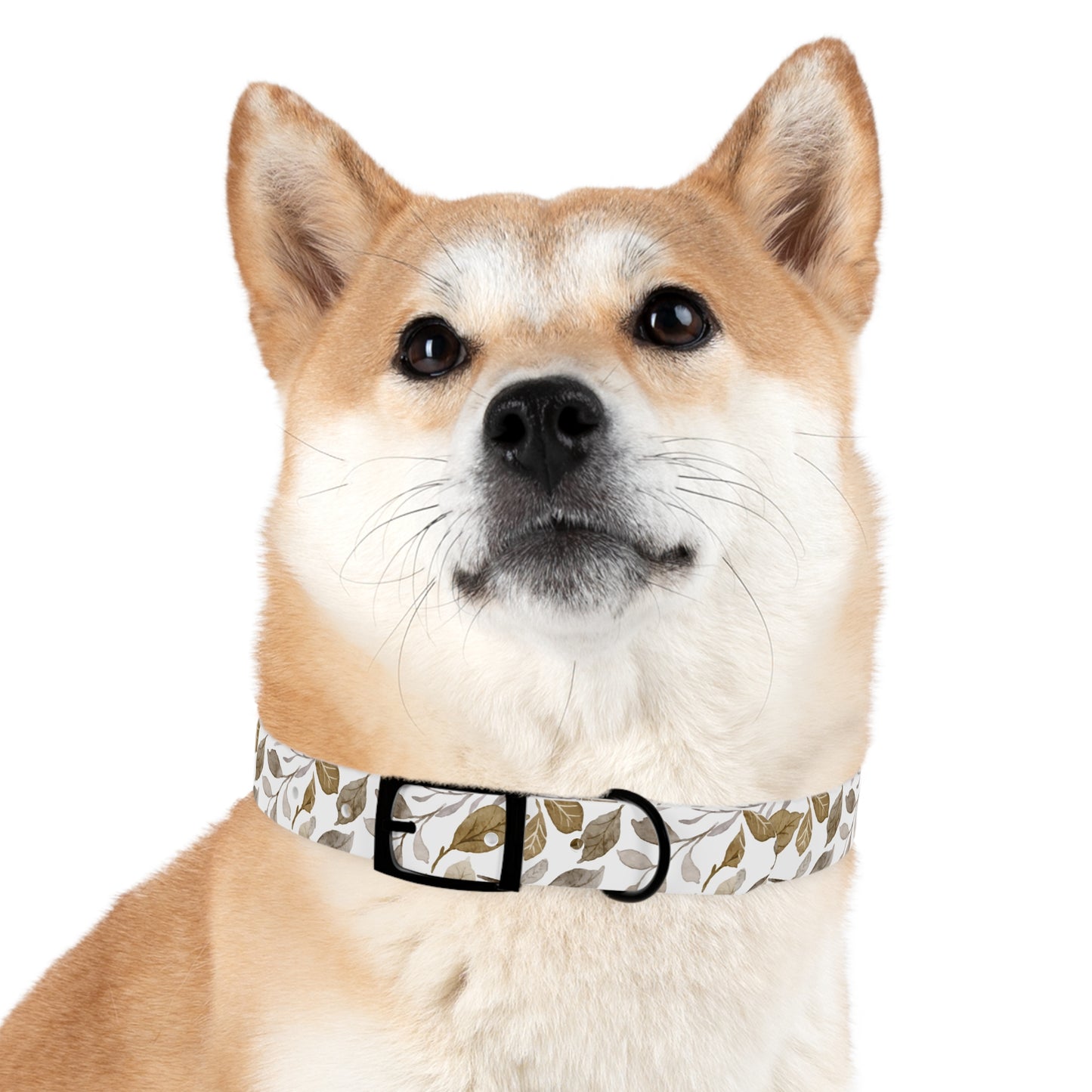 Echoes of Earth Dog Collar 🌿