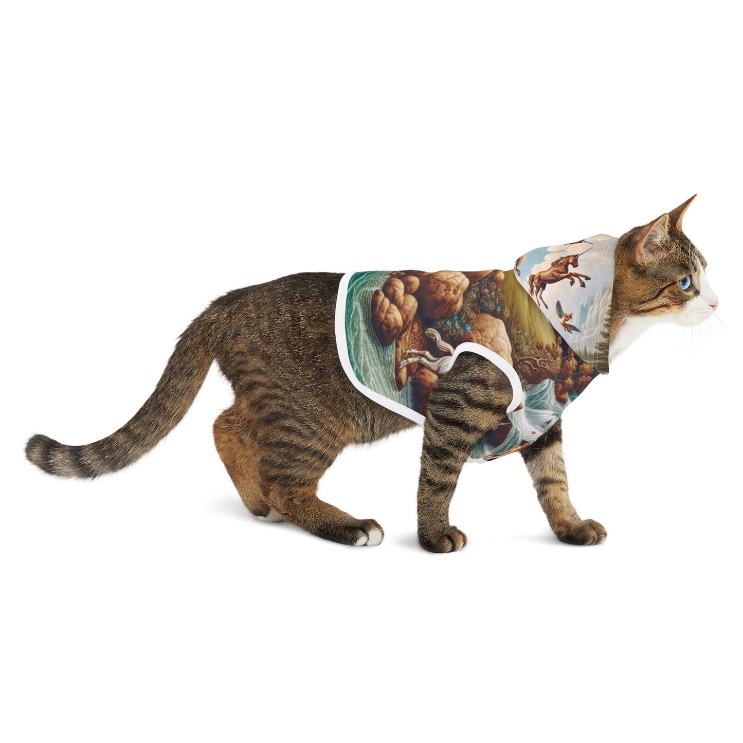 Unicorn Pet Hoodie π¦π