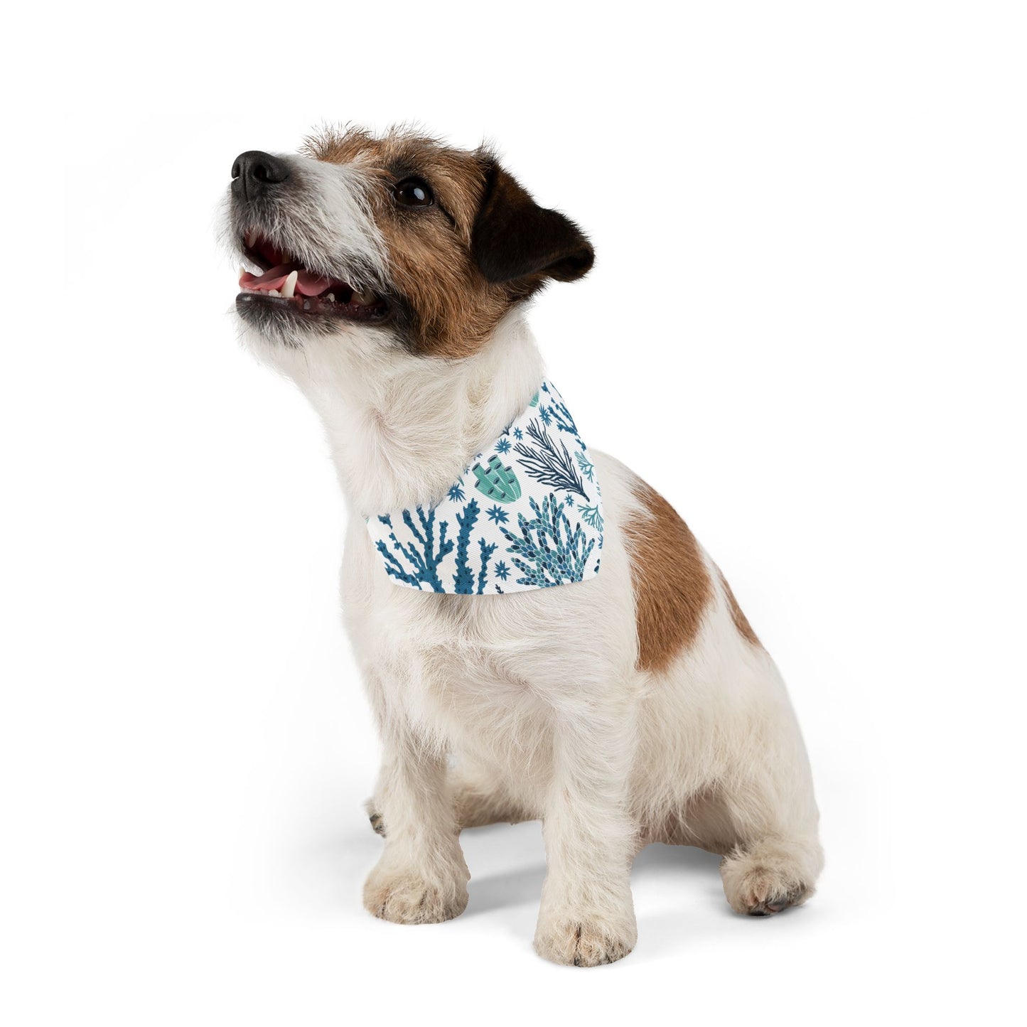 Coral Reef Pet Bandana Collar 🪸