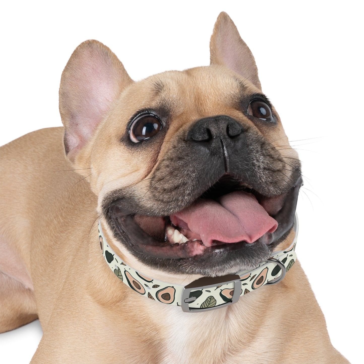 Avocado Dog Collar 🥑