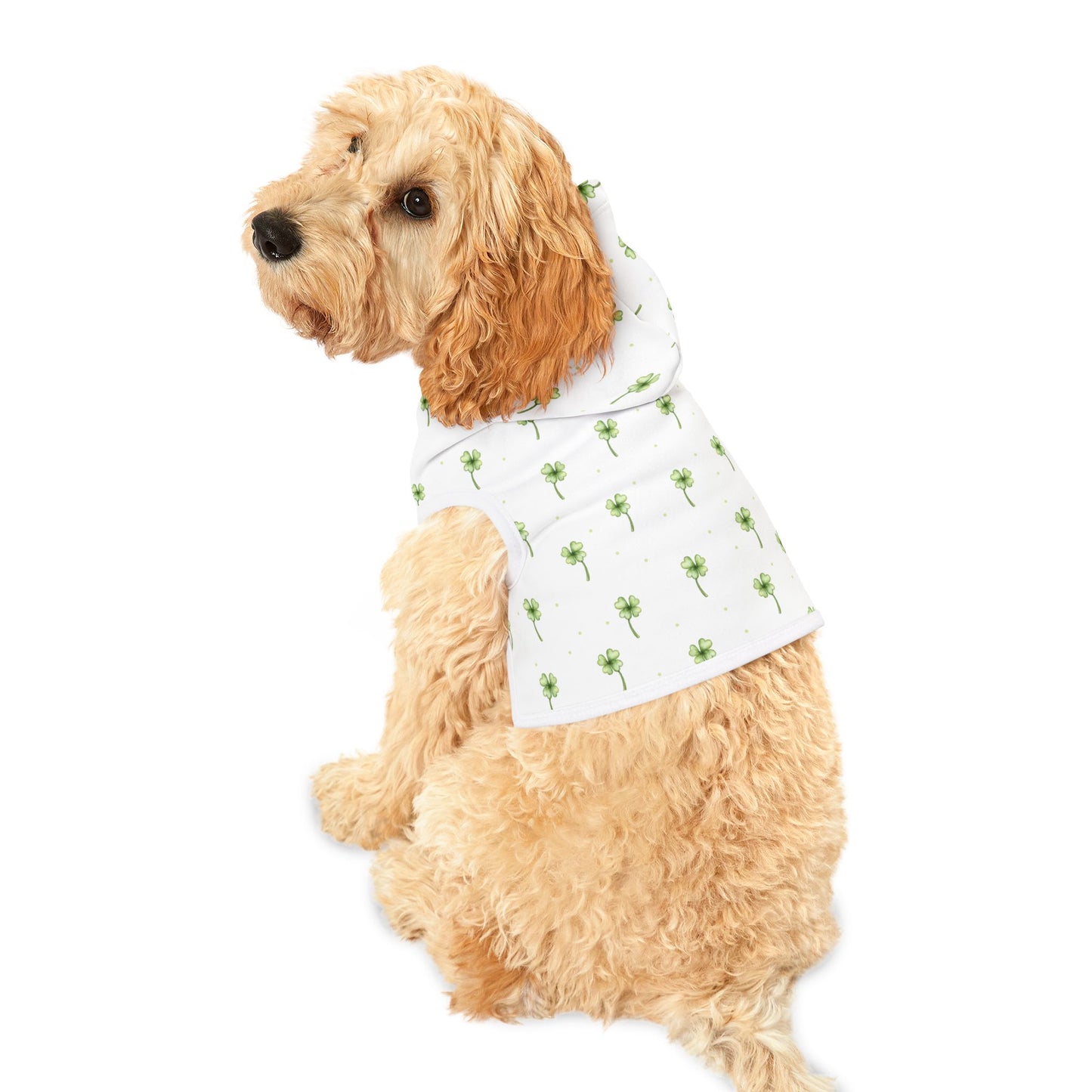 Lucky Clover Pet Hoodie π