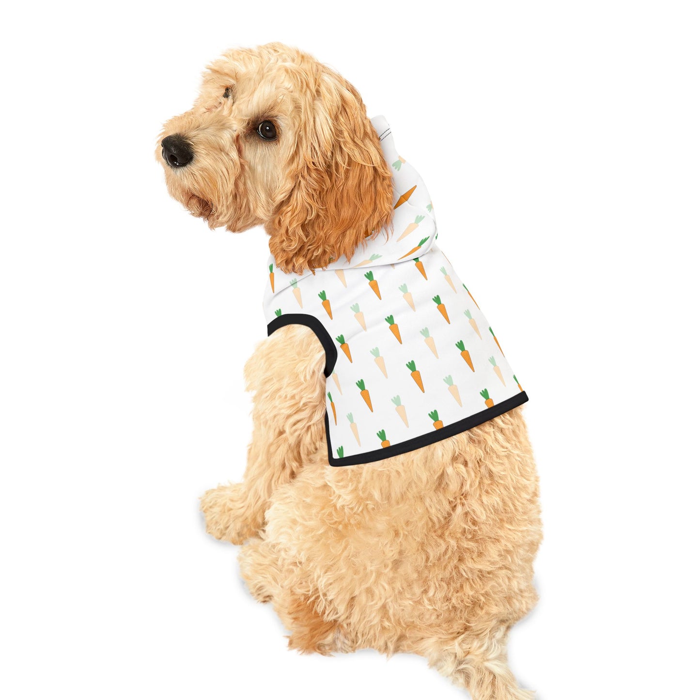 Carrot Pet Hoodie π₯