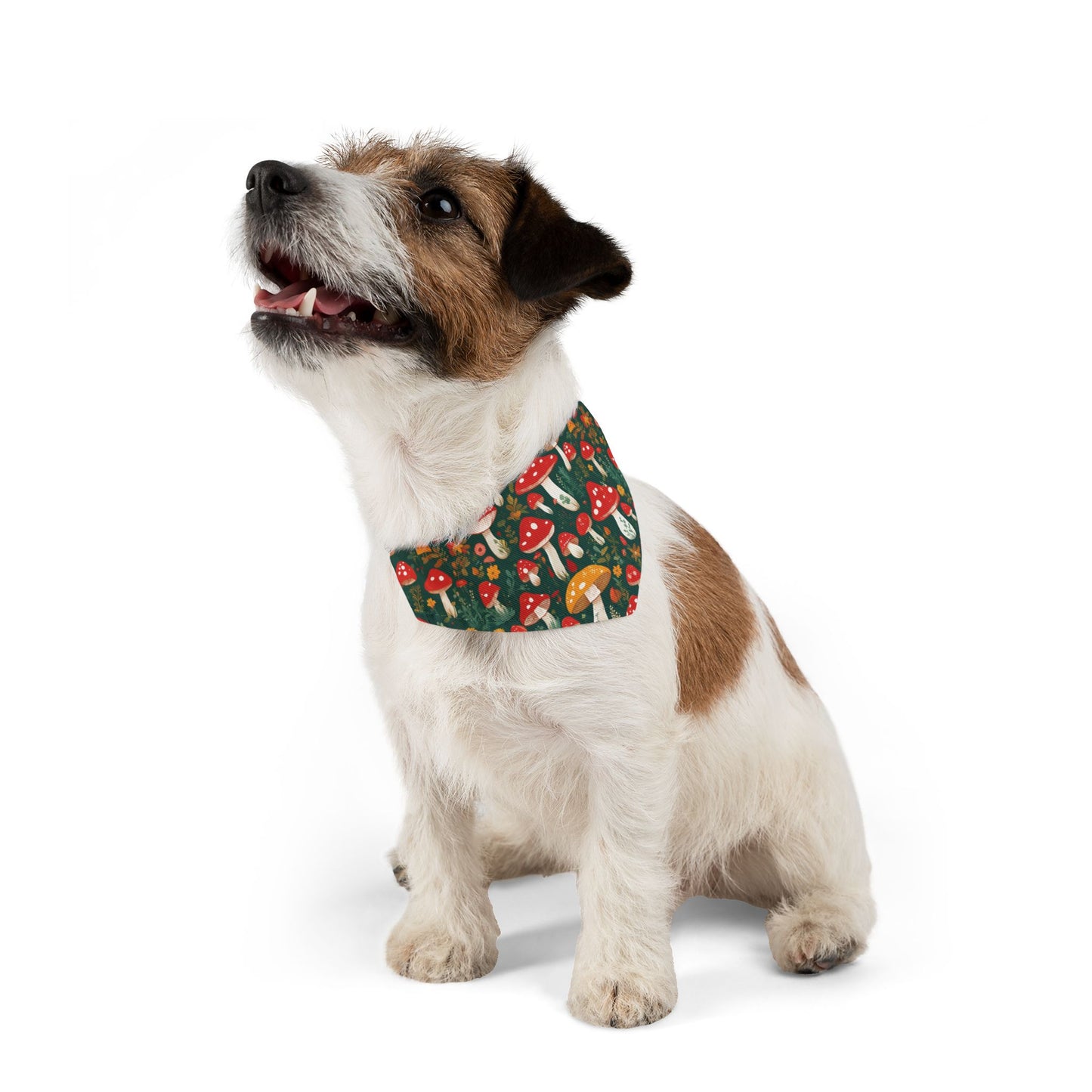 Mushroom Masterpiece Pet Bandana Collar ๐