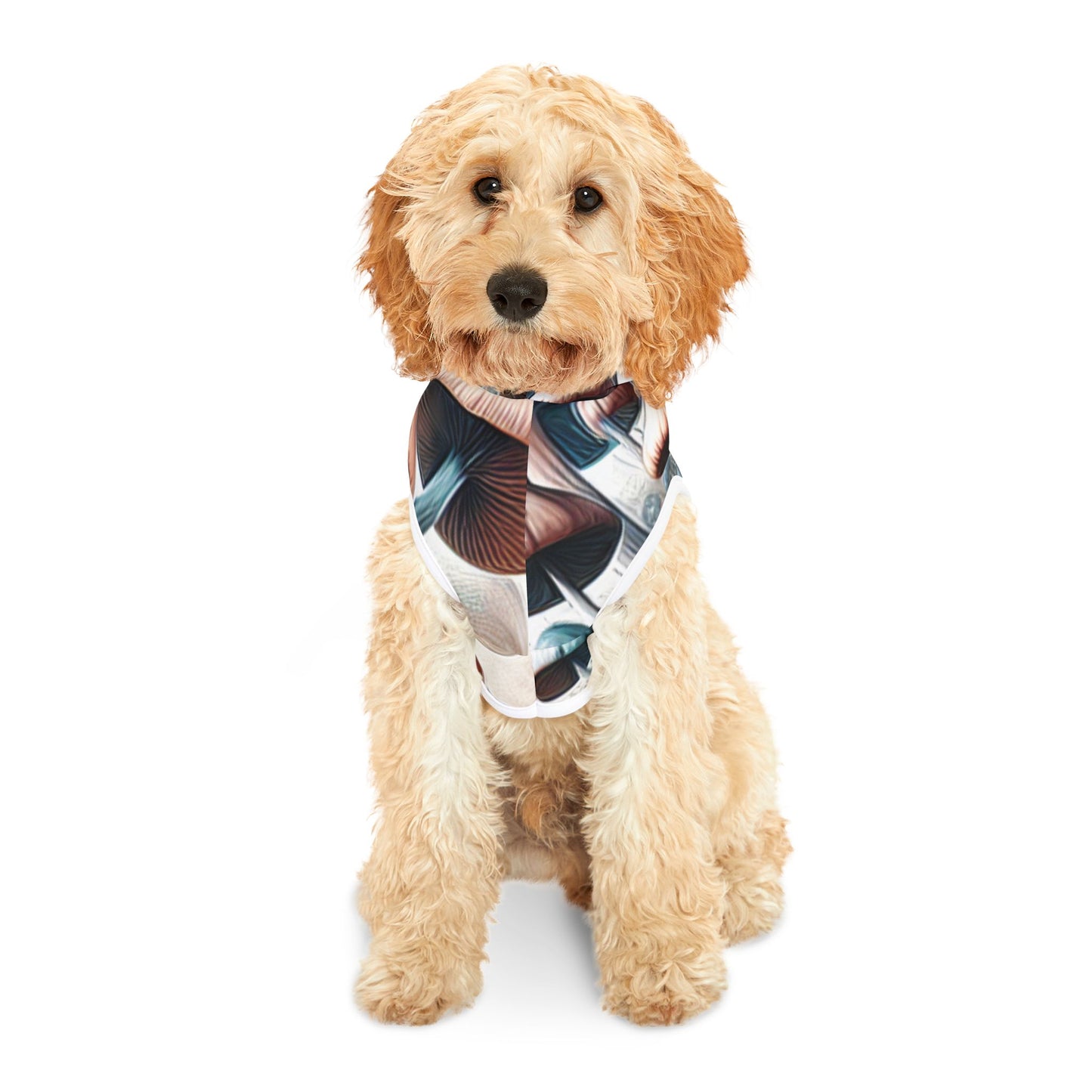 Magic Mushroom Pet Hoodie π