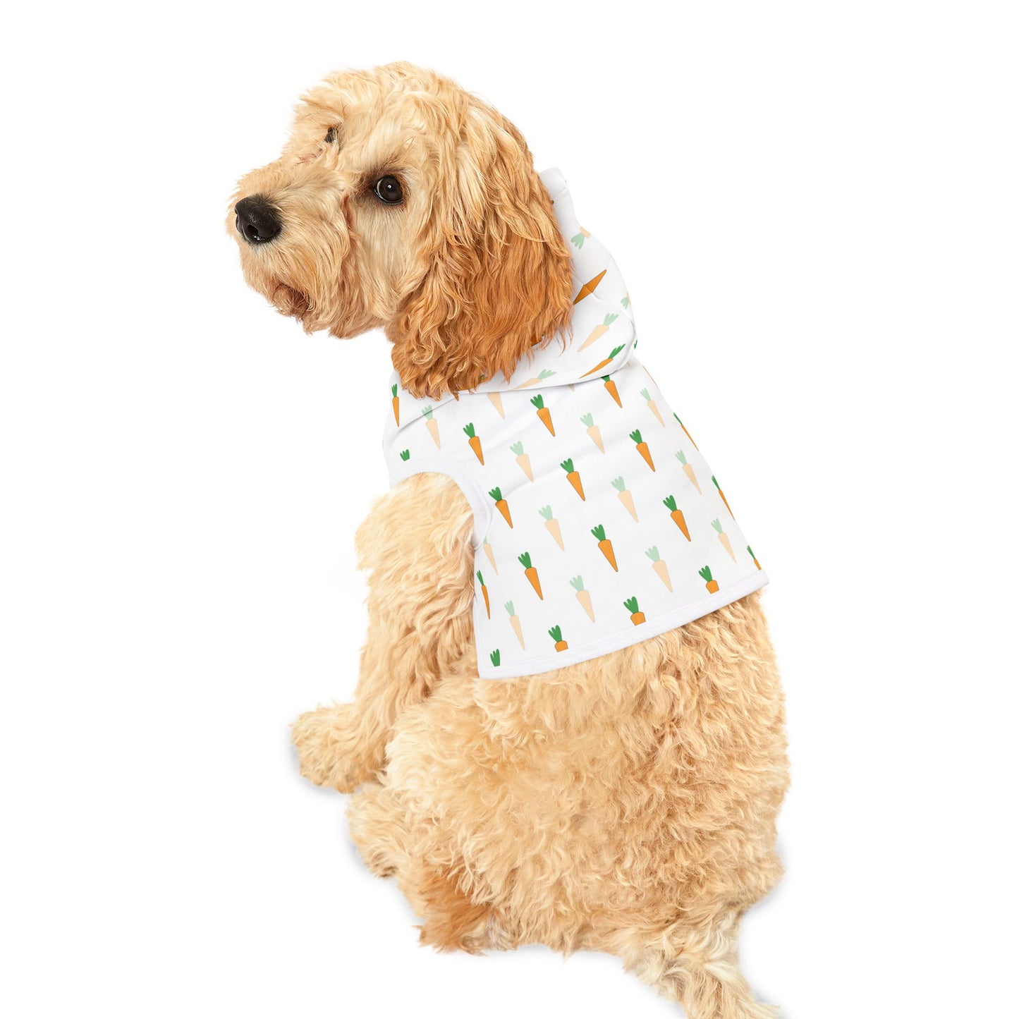 Carrot Pet Hoodie π₯