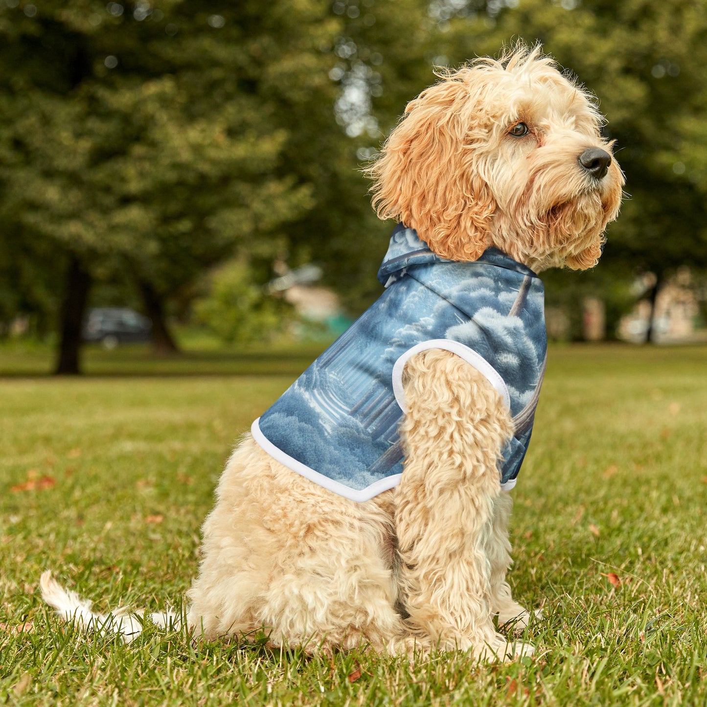 Snowy Forest Pet Hoodie βοΈπ²
