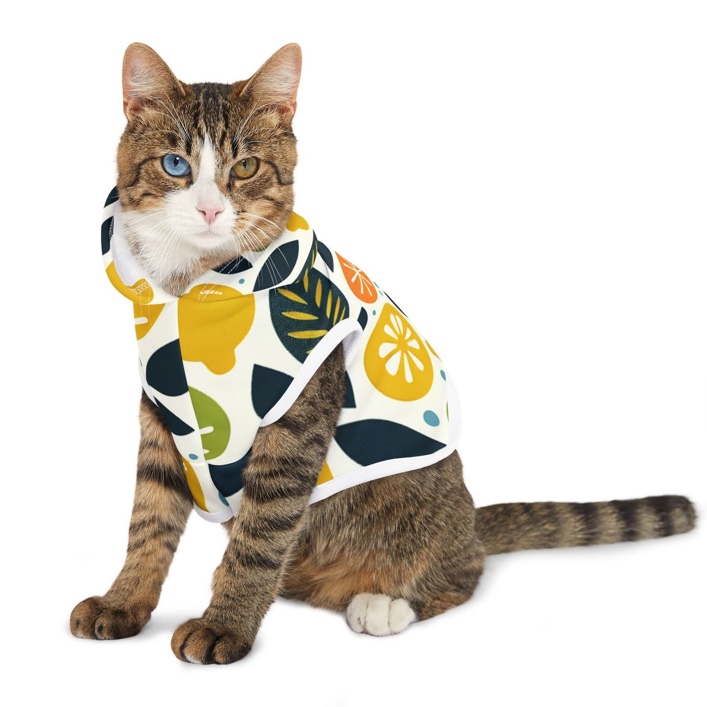 Citrus Pet Hoodie π
