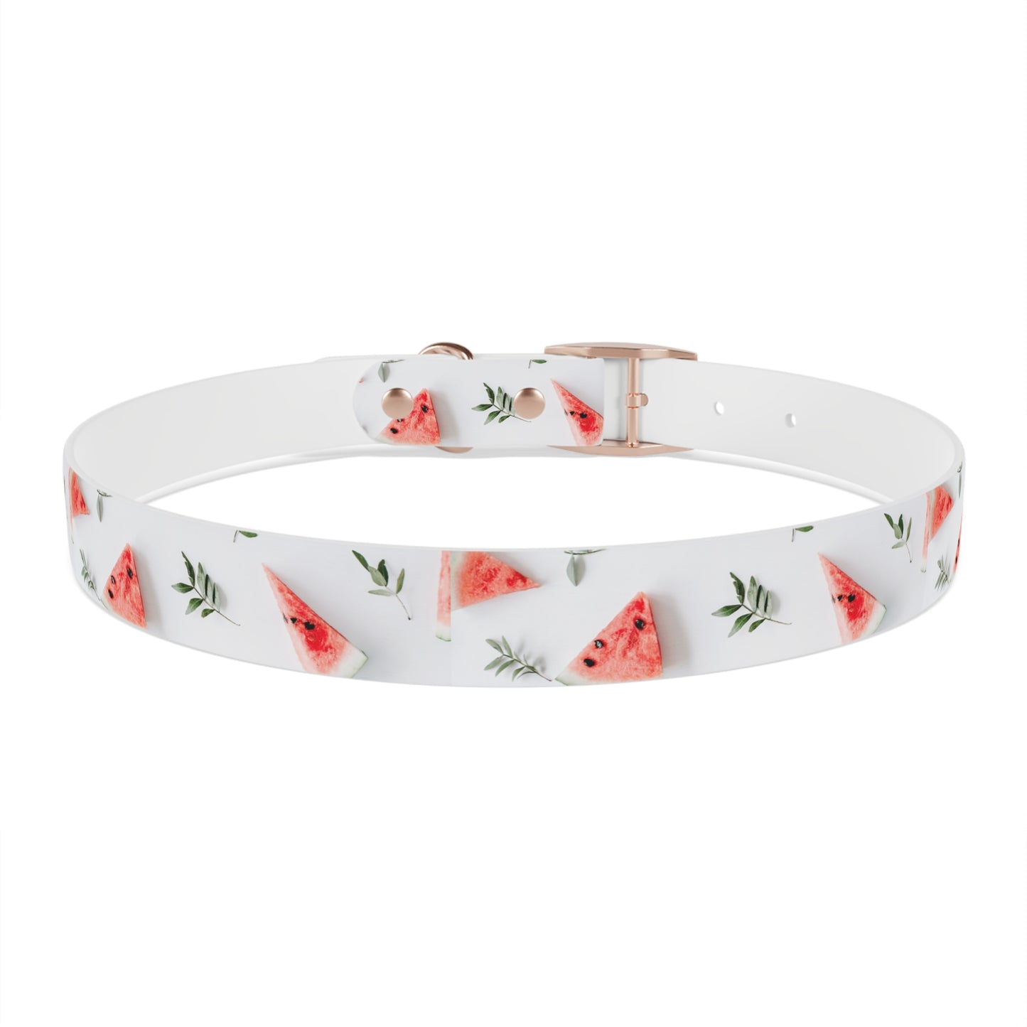 Watermelon Dog Collar π