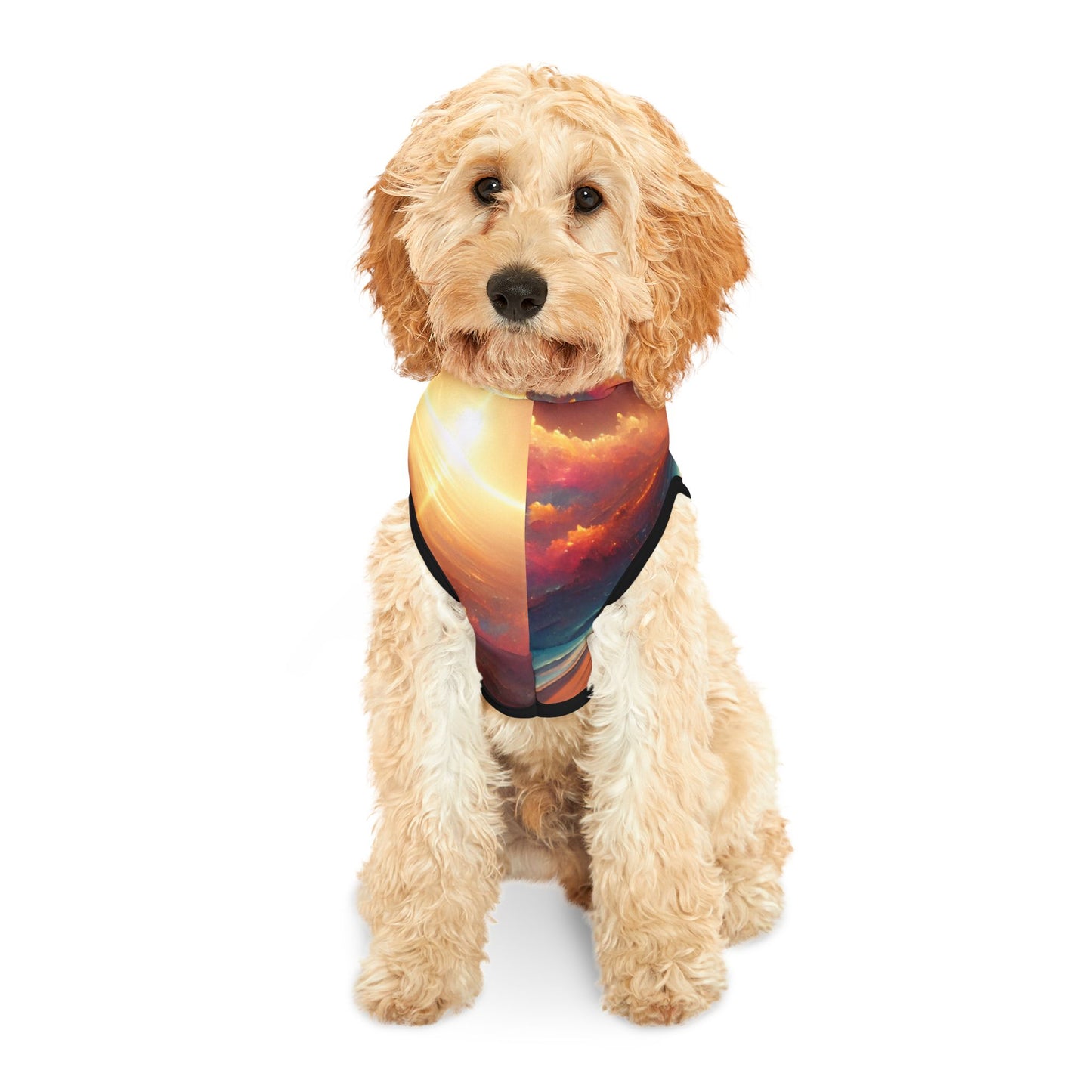 Sunlight Desert Space Pet Hoodie π΅
