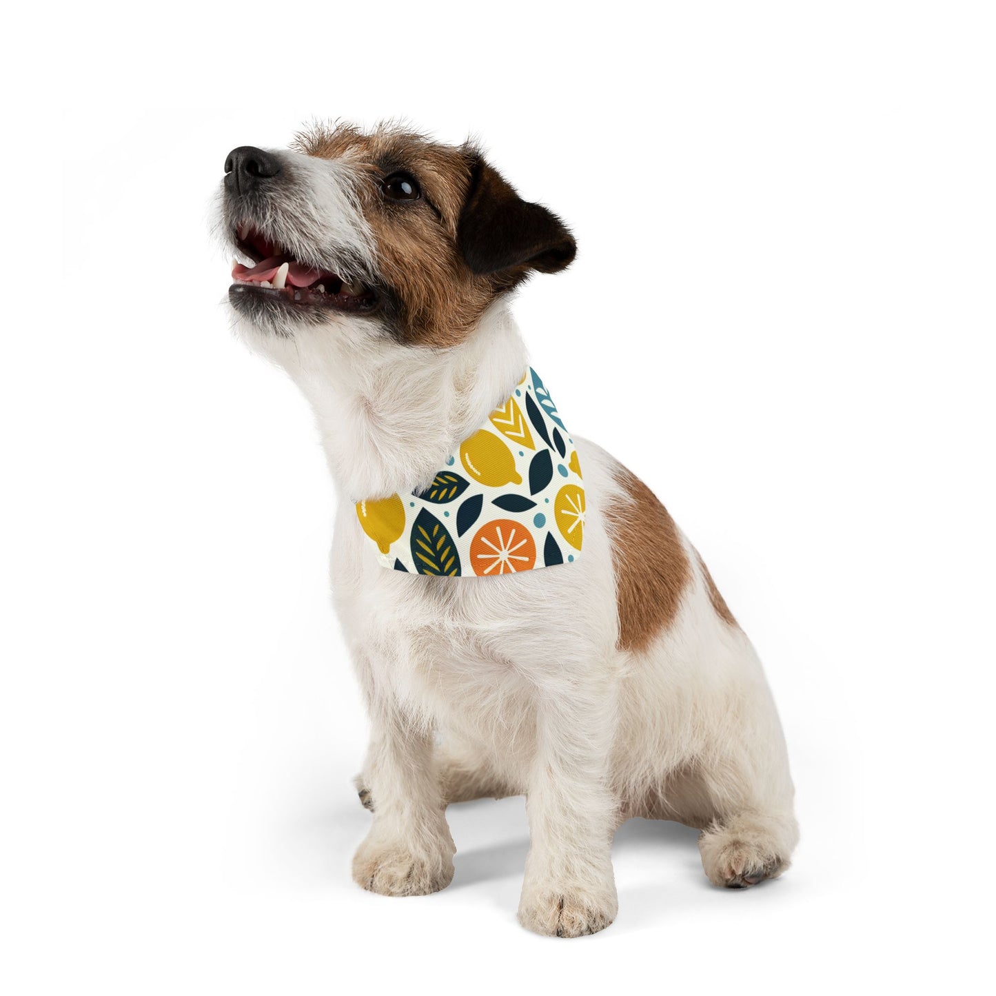 Citrus Pet Bandana Collar ๐