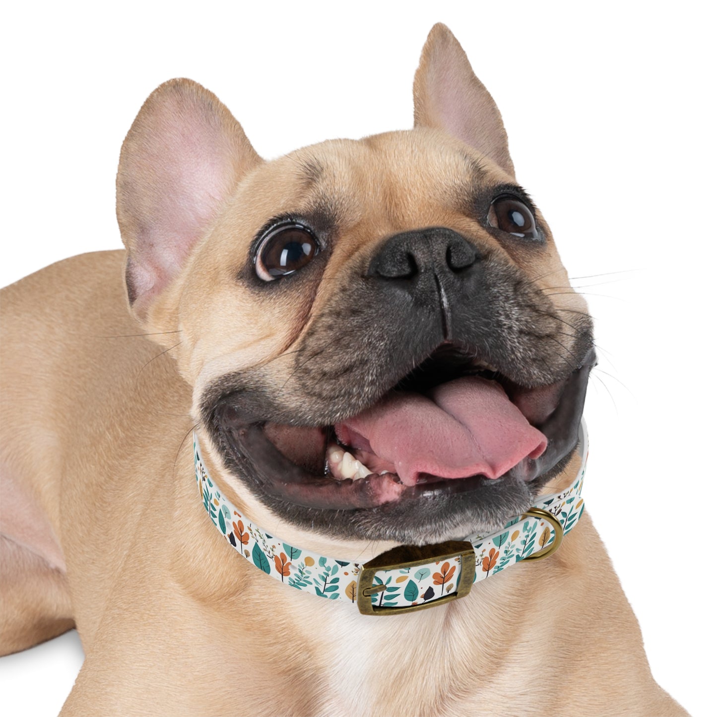 Leaf Love Dog Collar π