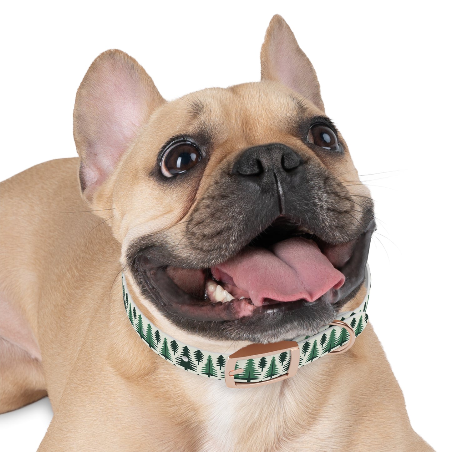 Pine Tree Dog Collar 🌲