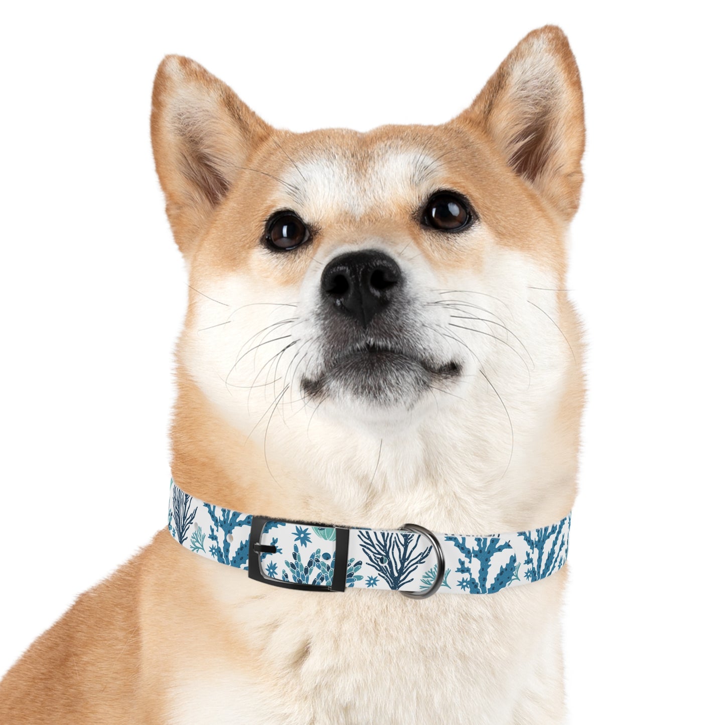 Coral Reef Eco-Friendly Dog Collar 🪸