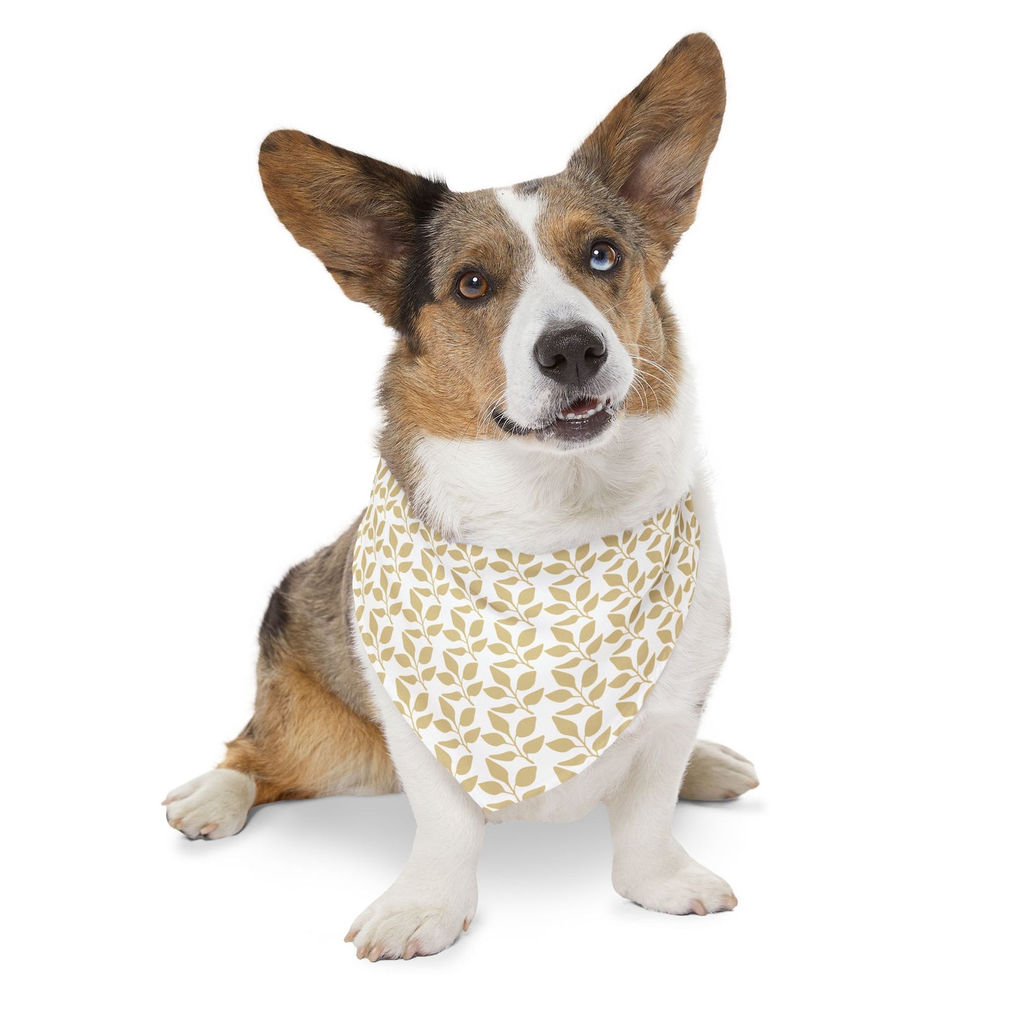 Golden Branch Pet Bandana Collar 🌿✨
