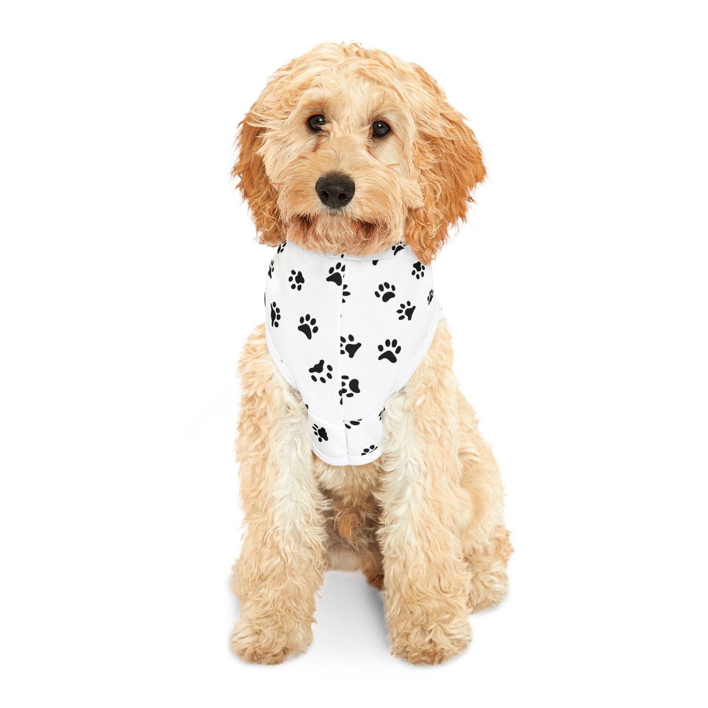 Paw Print Pet Hoodie ๐พ