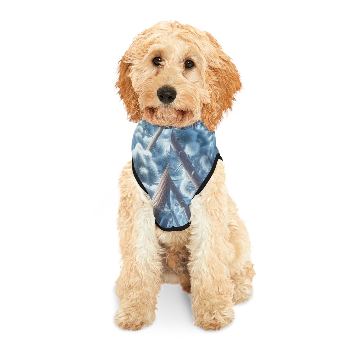 Snowy Forest Pet Hoodie βοΈπ²