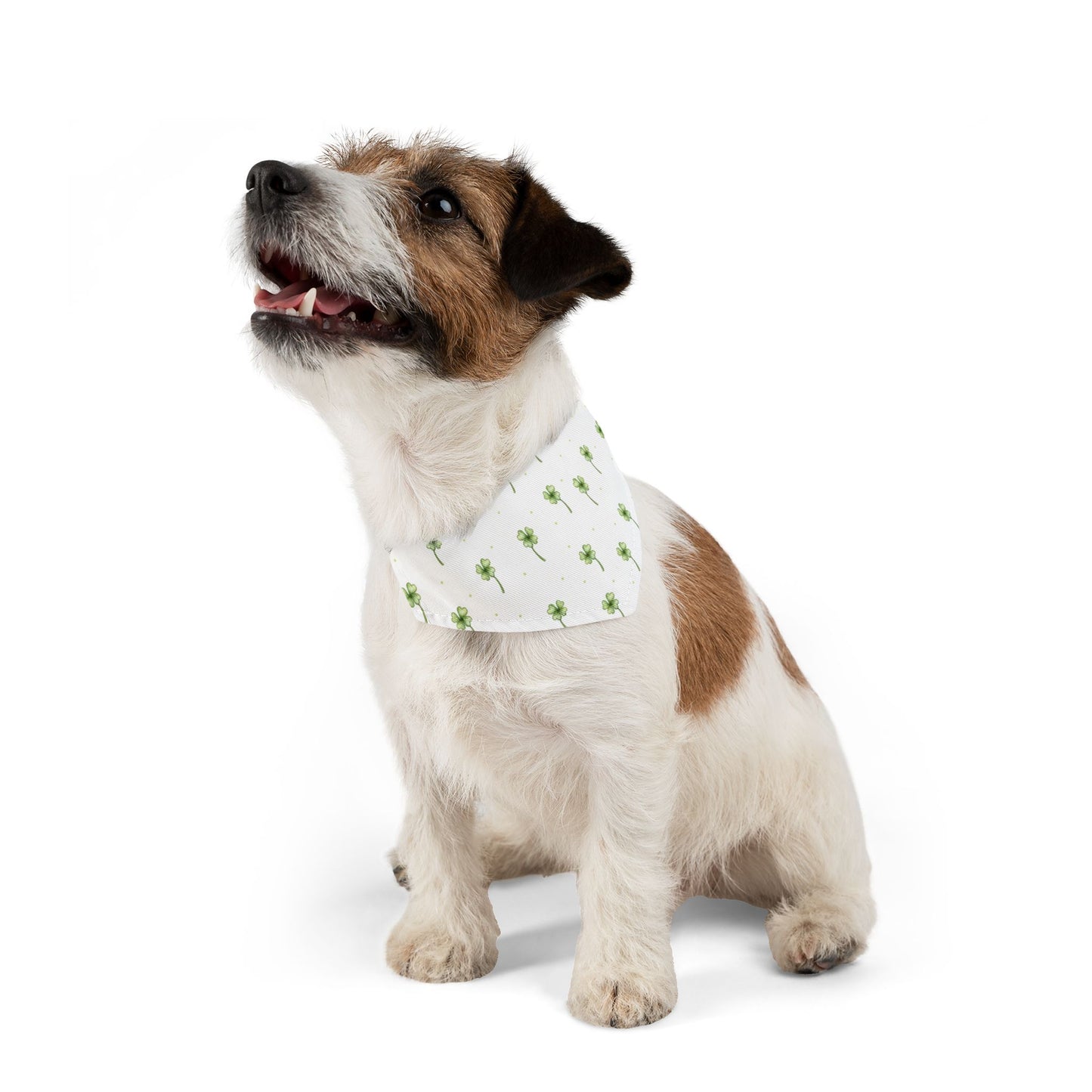 Lucky Clover Pet Bandana Collar 🍀