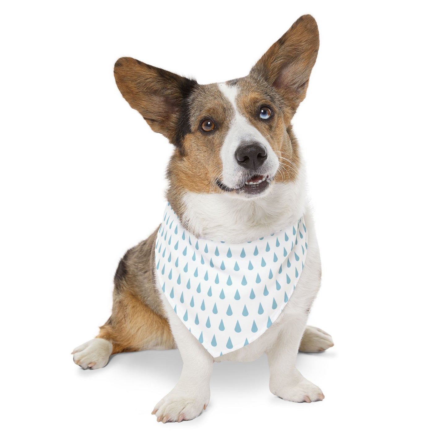 Raindrop Pet Bandana Collar