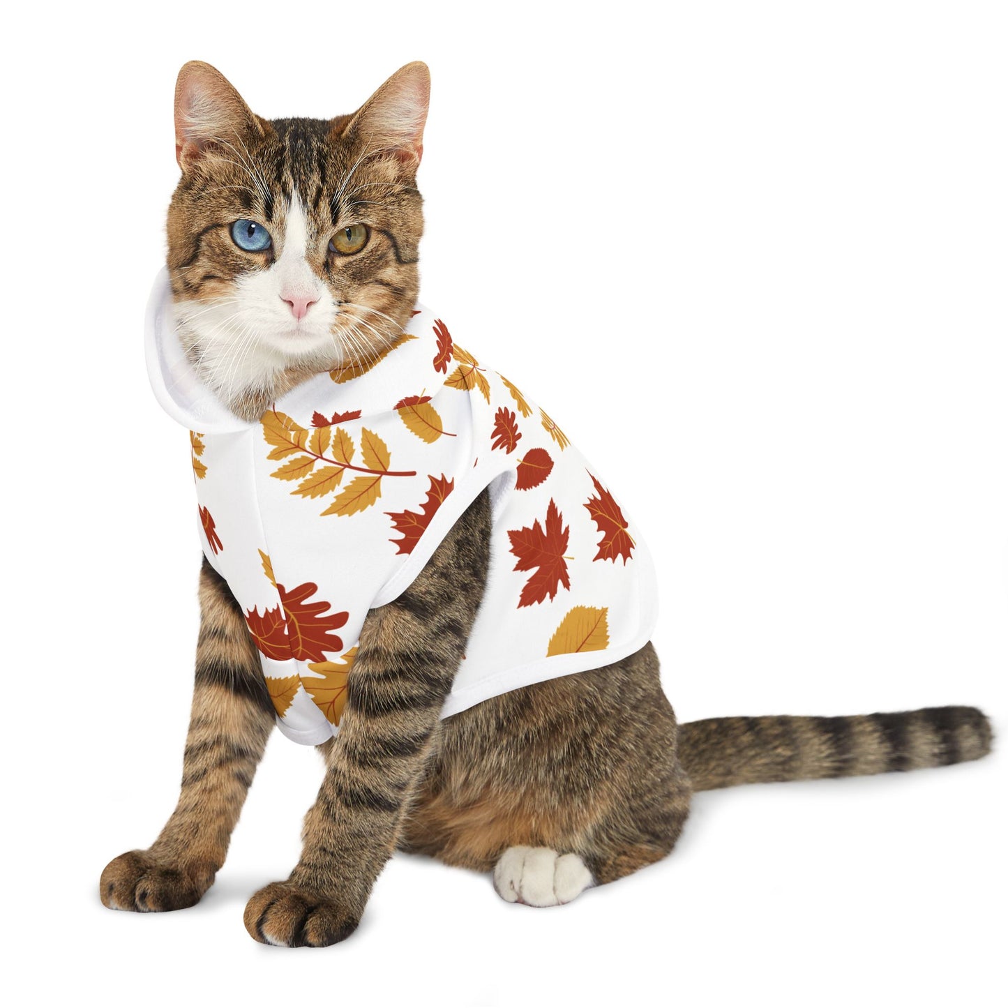 Falling Leaves Pet Hoodie 🍁