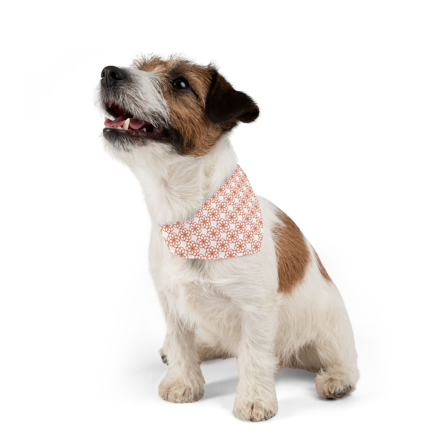 Flower of Life Design Pet Bandana