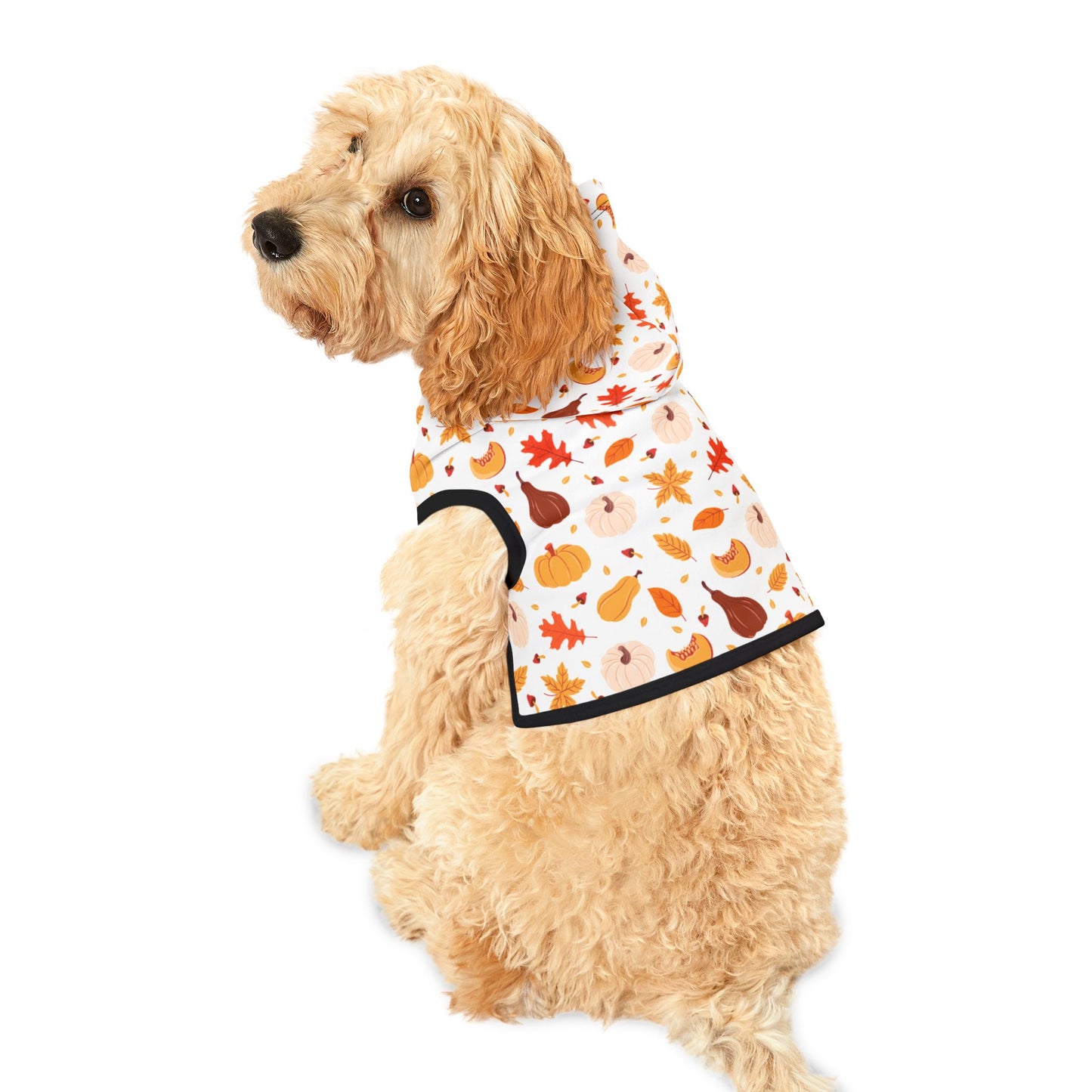 Pumpkin Patch Pet Hoodie 🎃