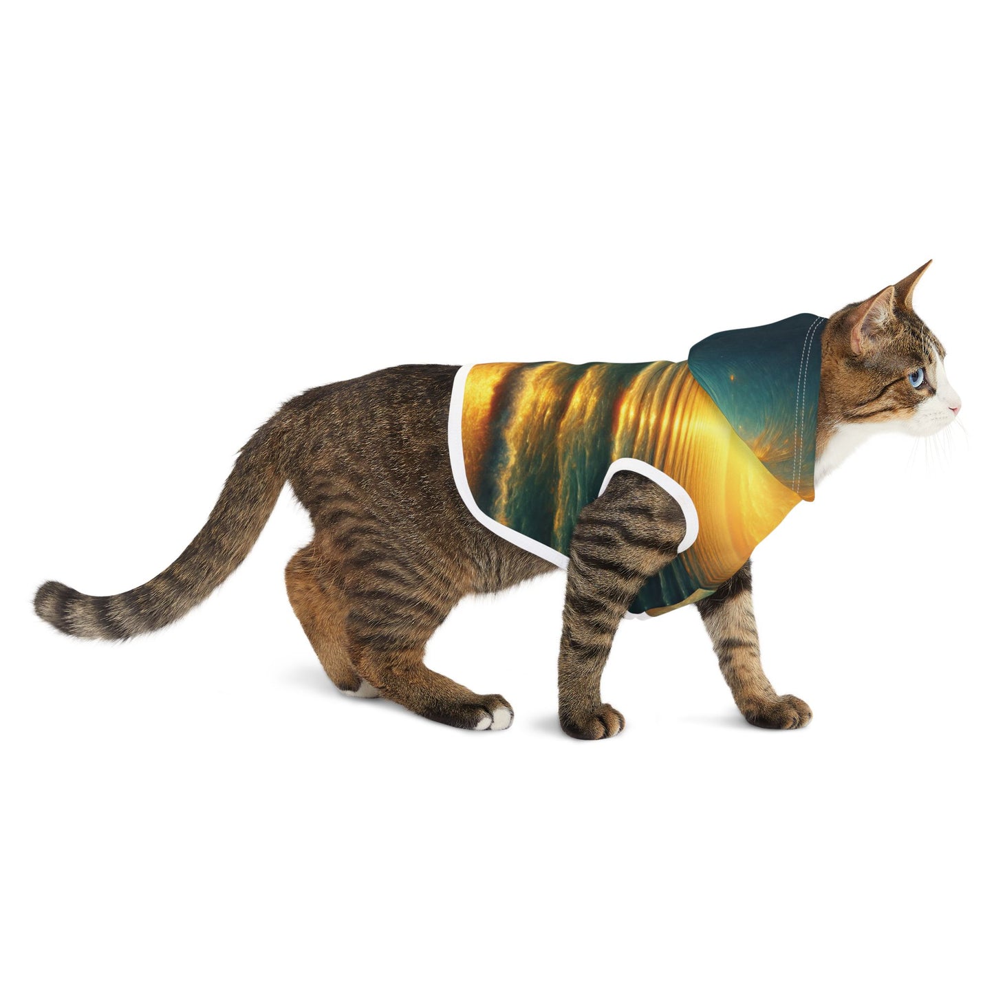 Surreal Sunset Beach Pet Hoodie 🌅