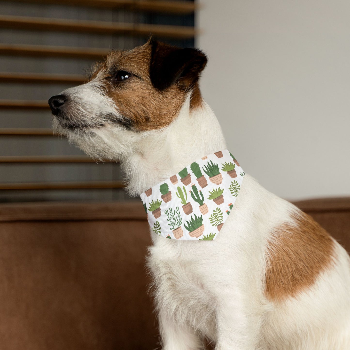 Succulent Style Pet Bandana Collar 🌿