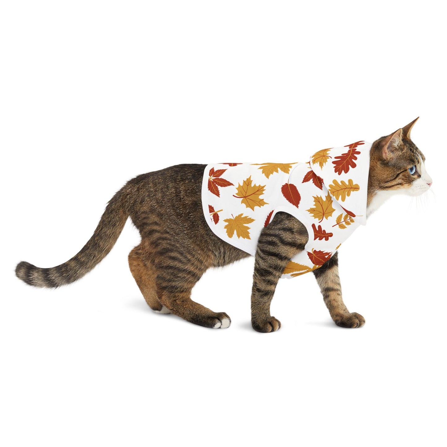 Falling Leaves Pet Hoodie 🍁